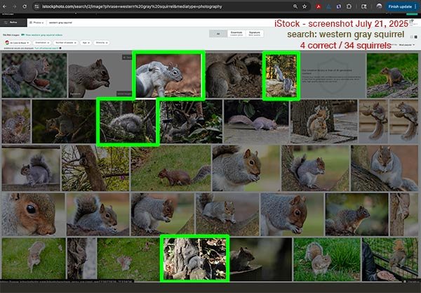 iStock stock screenshot